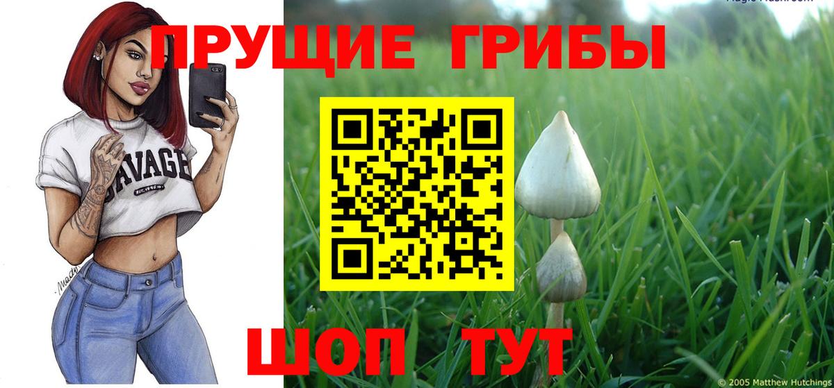 Псилоцибиновые грибы Magic Shrooms  Вход с VPN  хочу наркоту  Узловая  Псилоцибиновые грибы ЛСД 